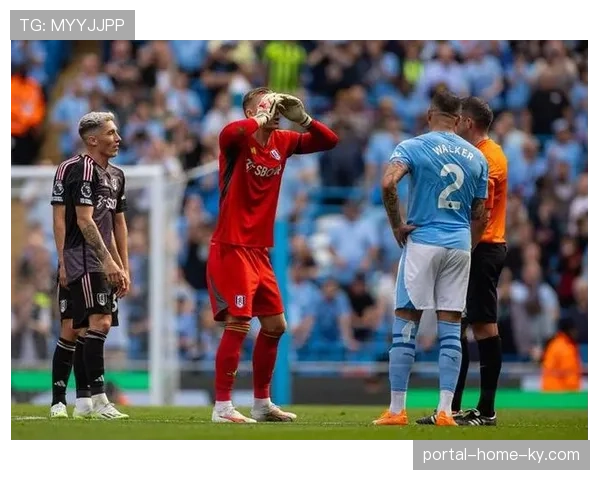富勒姆约书亚金抓住门将失误扳平,把握机会能力关键 富勒姆约书亚金抓住门将失误扳平,把握机会能力关键